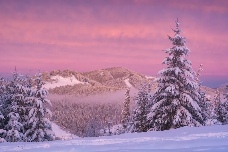 Morning After the Summit: What's Actually Happening to Your Body When the Mountain High Fades